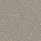 Champagne Metallic
