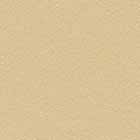 Light Brass Leaf