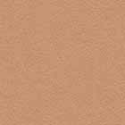 Rose Gold Leaf