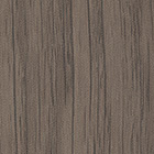 Society Oak